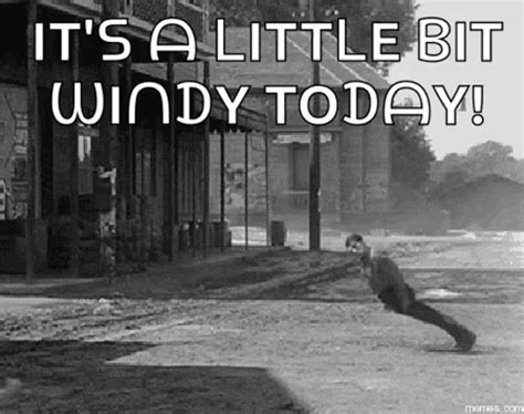 windy gifs|Funny Windy GIFs .